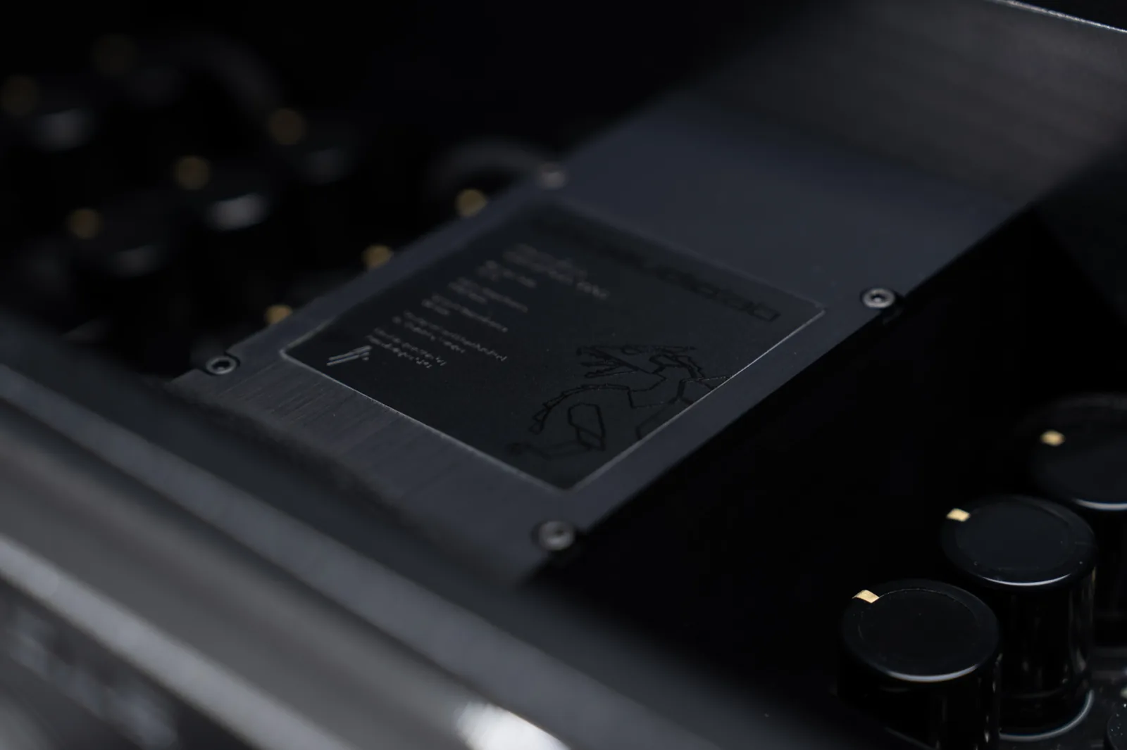 Engraved rating plate inside the UBIQUITOUS 300B among its capacitors